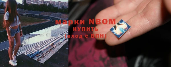 PSILOCYBIN Алзамай