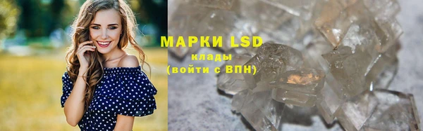 PSILOCYBIN Алзамай