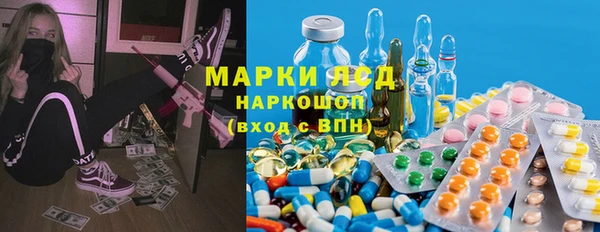 PSILOCYBIN Алзамай