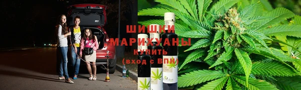 PSILOCYBIN Алзамай