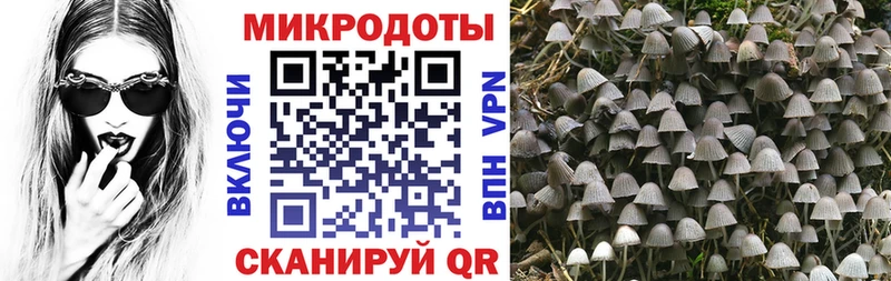 гидра как зайти  Сосновка  Галлюциногенные грибы Psilocybine cubensis  купить  